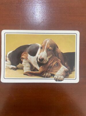 Calendário de Bolso (Tema Animais - Cachorros) Ano 1980