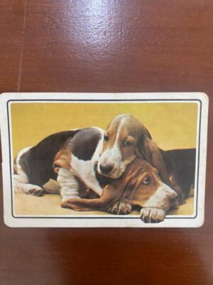 Calendário de Bolso (Tema Animais - Cachorros) Ano 1981