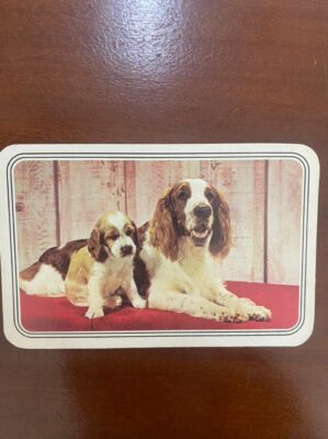 Calendário de Bolso (Tema Animais - Cachorros) Ano 1982