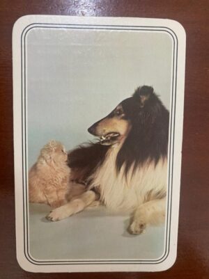 Calendário de Bolso (Tema Animais - Cachorros) Ano 1982
