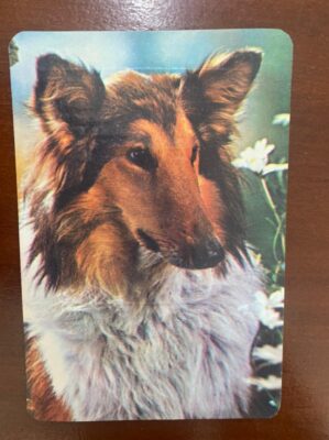 Calendário de Bolso (Tema Animais - Cachorros) Ano 1984