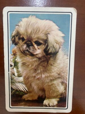 Calendário de Bolso (Tema Animais - Cachorros) Ano 1985