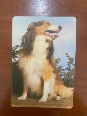 Calendário de Bolso (Tema Animais - Cachorros) Ano 1987