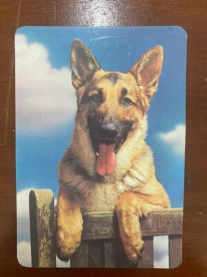 Calendário de Bolso (Tema Animais - Cachorros) Ano 1992