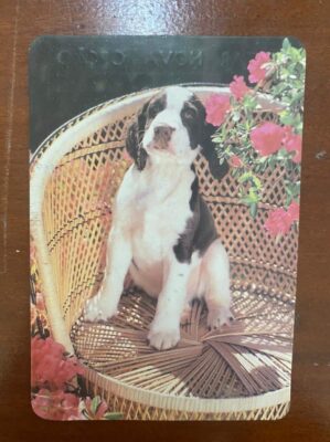 Calendário de Bolso (Tema Animais - Cachorros) Ano 1993