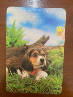 Calendário de Bolso (Tema Animais - Cachorros) Ano 1994