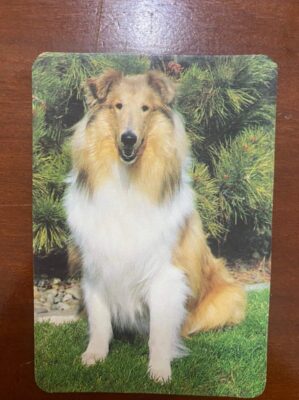 Calendário de Bolso (Tema Animais - Cachorros) Ano 1995