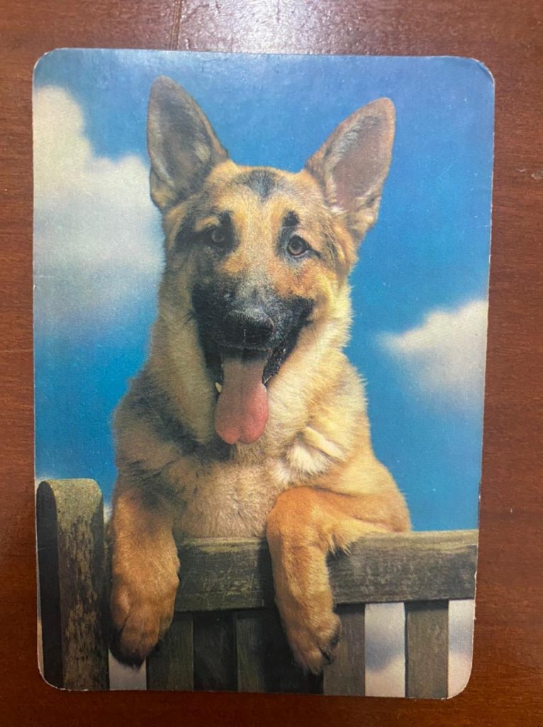 | Casa do Colecionador Calendário de Bolso (Tema Animais - Cachorros) Ano 1998