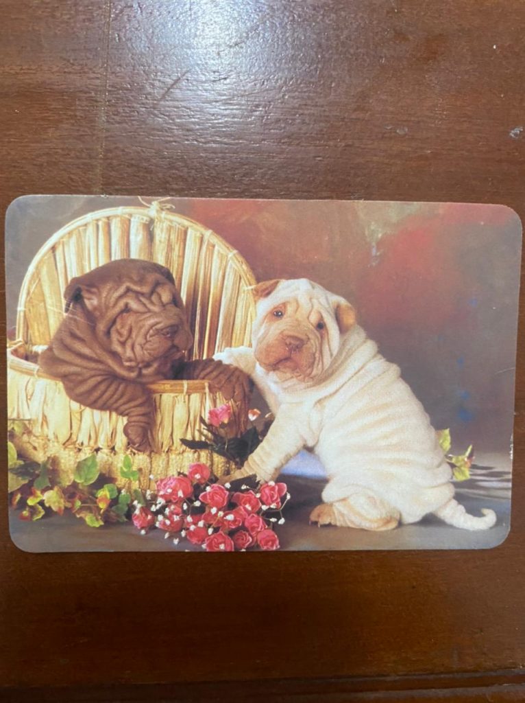 | Casa do Colecionador Calendário de Bolso (Tema Animais - Cachorros) Ano 2005