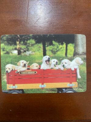 Calendário de Bolso (Tema Animais - Cachorros) Ano 2010
