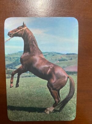 Calendário de Bolso (Tema Animais - Cavalos) Ano 1985