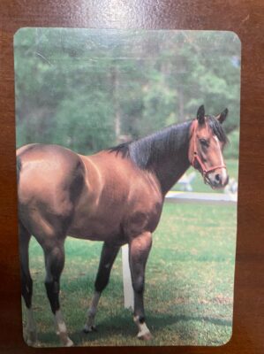 Calendário de Bolso (Tema Animais - Cavalos) Ano 1991