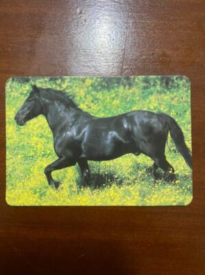 Calendário de Bolso (Tema Animais - Cavalos) Ano 1993