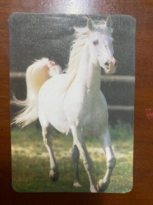 Calendário de Bolso (Tema Animais - Cavalos) Ano 1995
