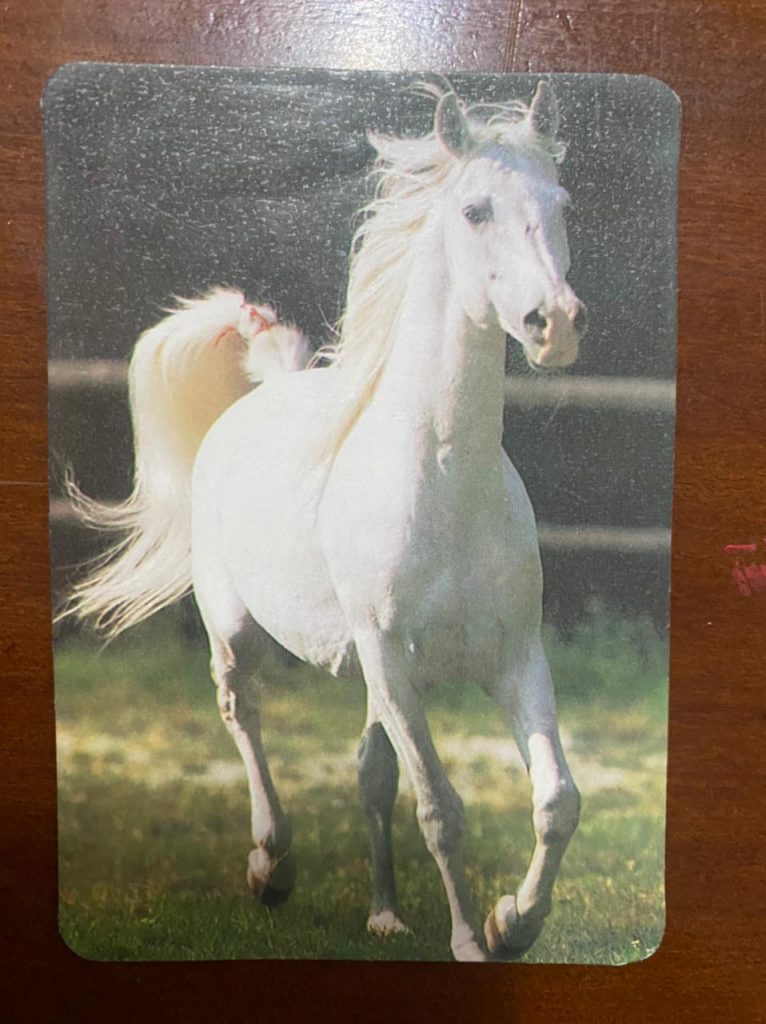 | Casa do Colecionador Calendário de Bolso (Tema Animais - Cavalos) Ano 1995