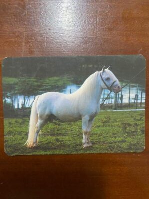 Calendário de Bolso (Tema Animais - Cavalos) Ano 1996