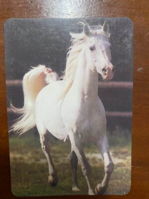 Calendário de Bolso (Tema Animais - Cavalos) Ano 1998