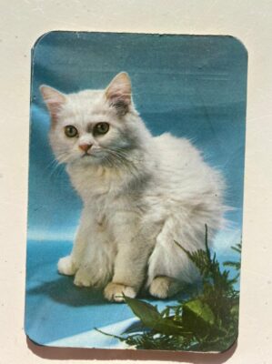 Calendário de Bolso (Tema Animais - Gatos) Ano 1978