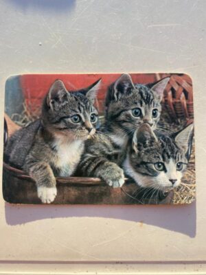 Calendário de Bolso (Tema Animais - Gatos) Ano 1985