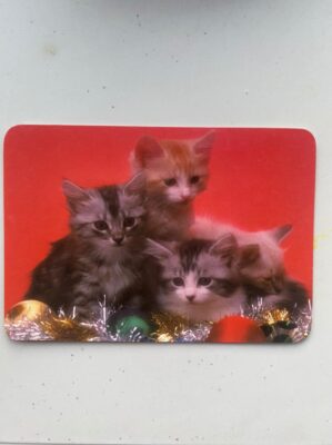 Calendário de Bolso (Tema Animais - Gatos) Ano 2008