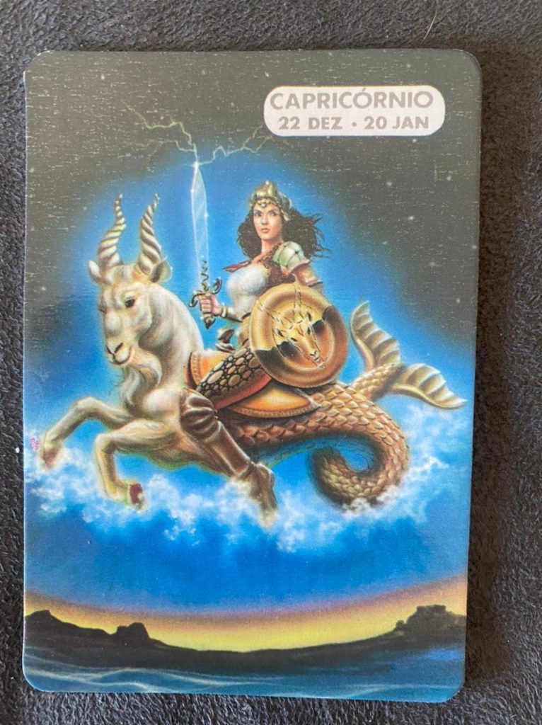 | Casa do Colecionador Calendário de Bolso (Tema Signo) Capricórnio - Ano 1995