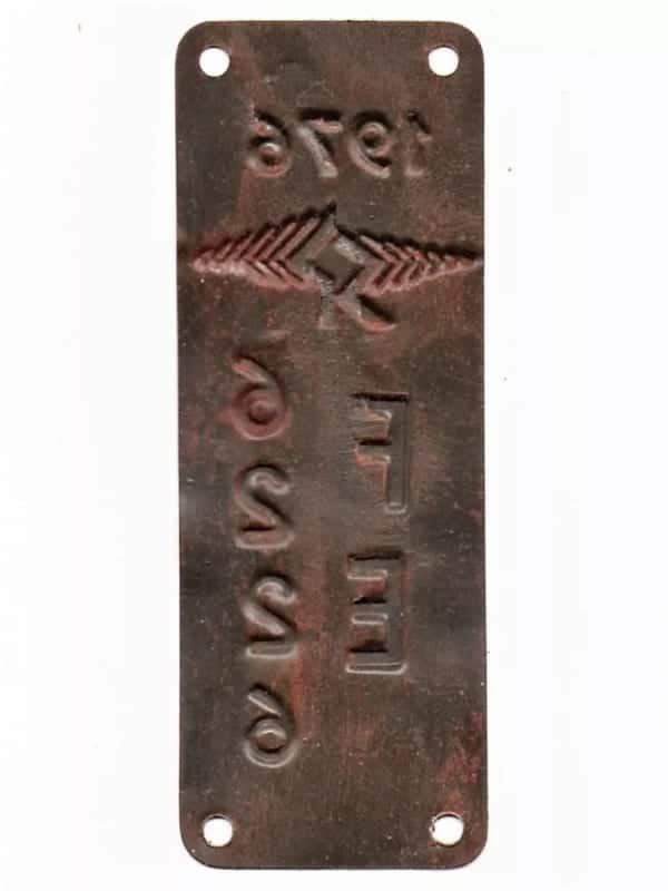 | Casa do Colecionador Plaqueta De Licenciamento SP Logo De São Paulo - 1976