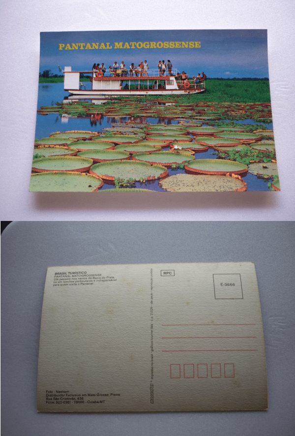 | Casa do Colecionador CARTÃO POSTAL PANTANAL MATOGROSSENSE .