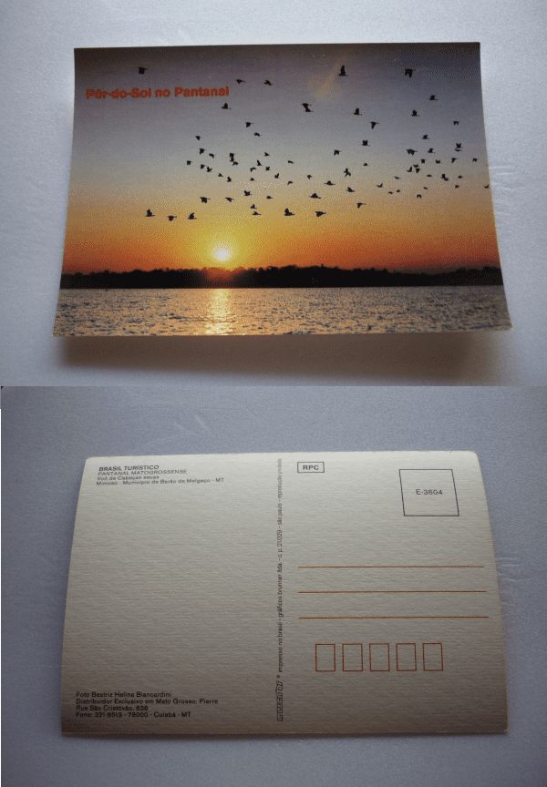 | Casa do Colecionador CARTÃO POSTAL PANTANAL MATOGROSSENSE .