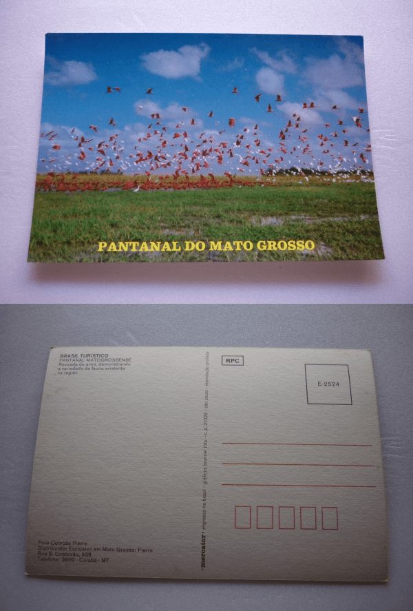 | Casa do Colecionador CARTÃO POSTAL PANTANAL REVOADA DE AVES .