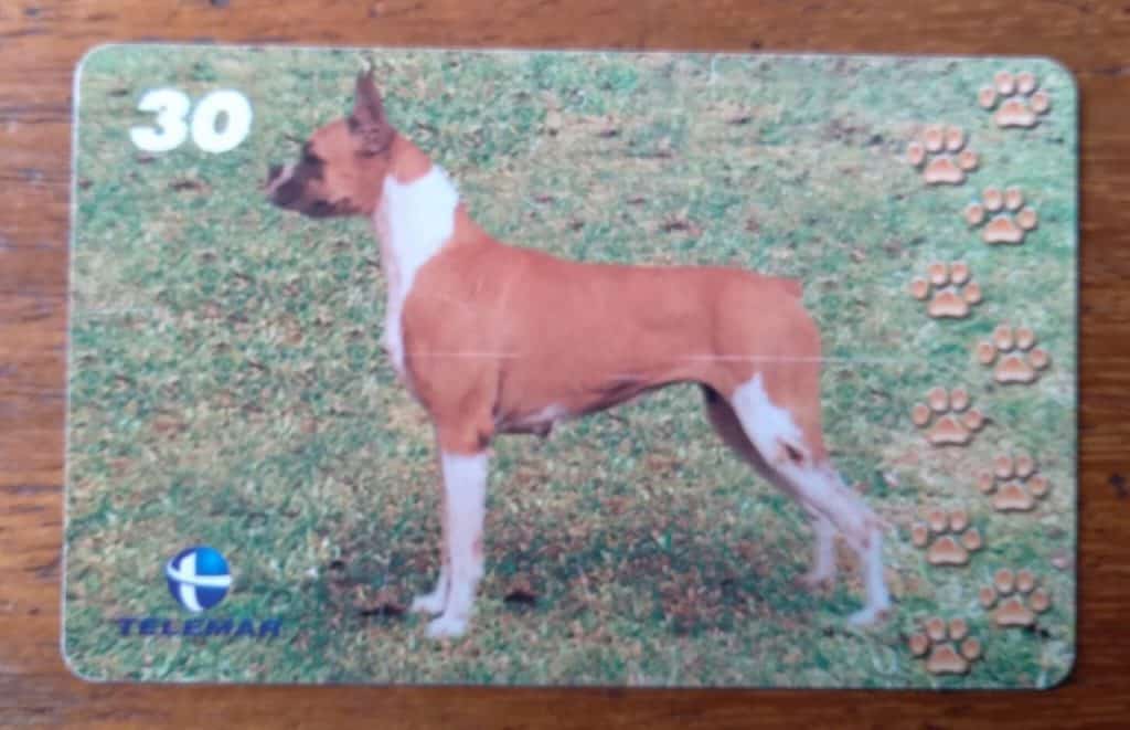 | Casa do Colecionador Brasil Telemar 2001 Grandes Amigos Do Homem 1 Boxer Ct Indutivo