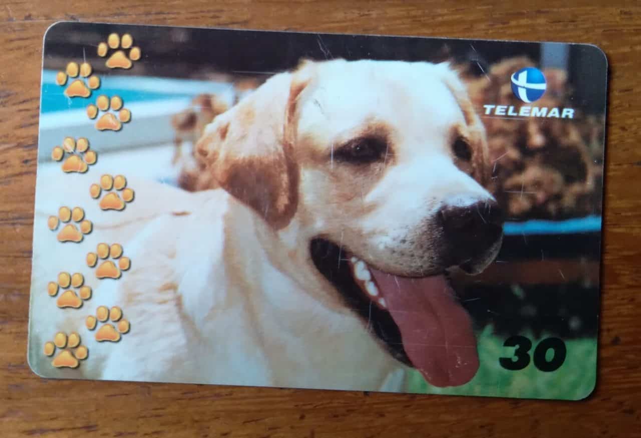 | Casa do Colecionador Brasil Telemar 2001 Grandes Amigos Do Homem 3 Labrador Ct Indutivo