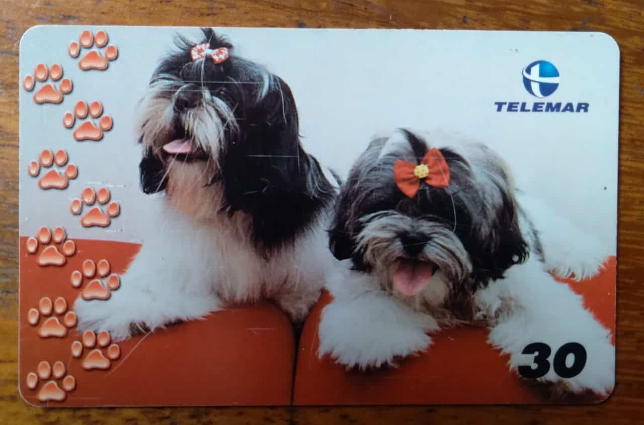 | Casa do Colecionador Brasil Telemar 2001 Grandes Amigos Do Homem 4 Shih Tzu Ct Indutivo