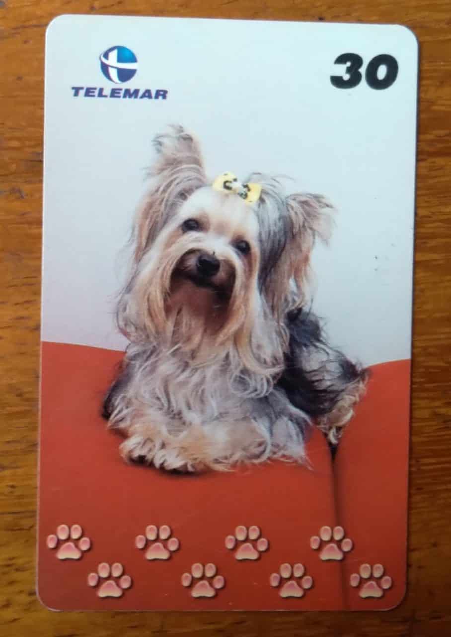 | Casa do Colecionador Brasil Telemar 2001 / Grandes Amigos do Homem 5 / Yorkshire Terrier.