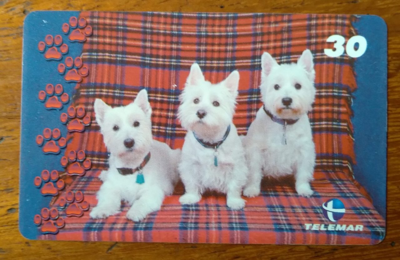 | Casa do Colecionador Brasil Telemar 2001 Grandes Amigos Do Homem 9 Schnauzer Miniatura Ct Indutivo 2