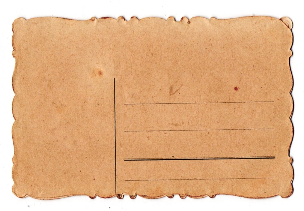 | Casa do Colecionador Cartao Postal - Flores - Violetas - Com Relevo - Anos 1920 - Não Circulado