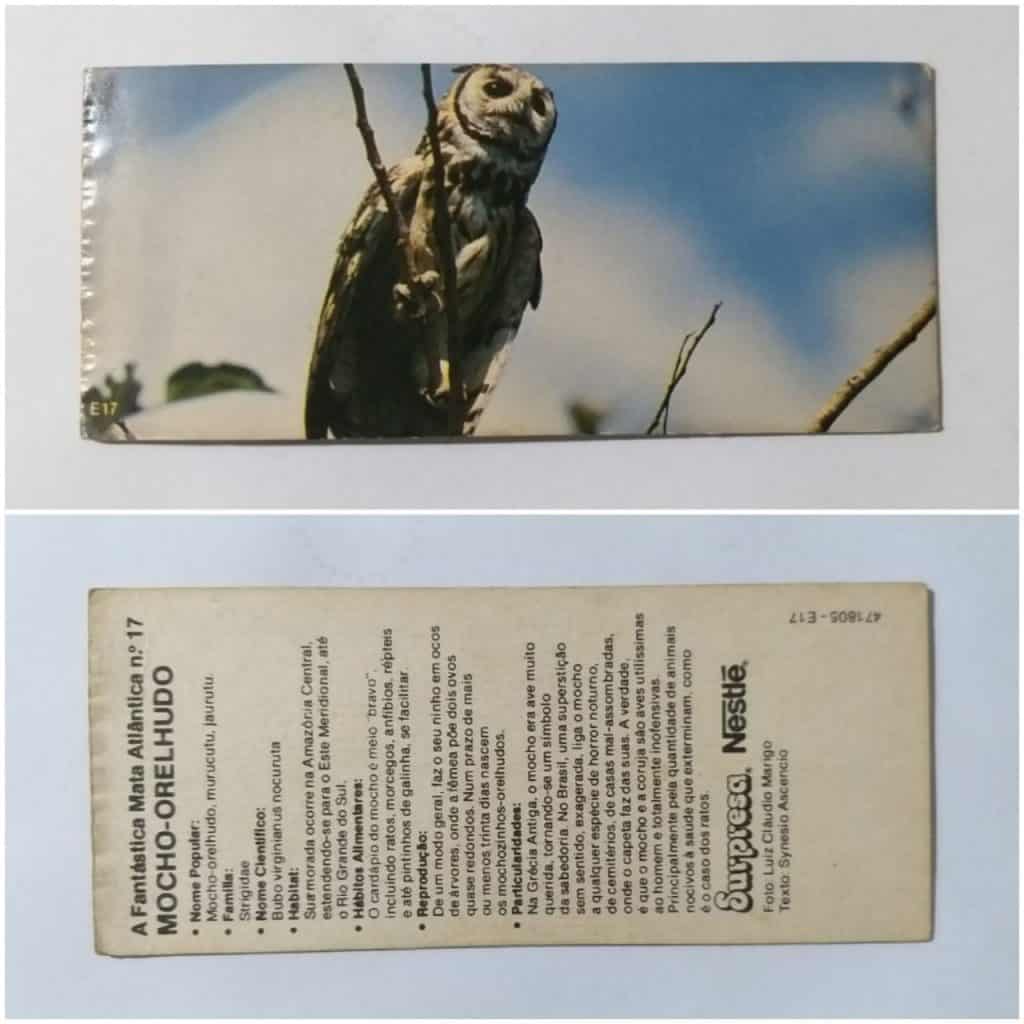 Figurinha Nestlê Surpresa (A Fantástica Mata Atlântica) Nº 17 - Mocho-Orelhudo - 1987