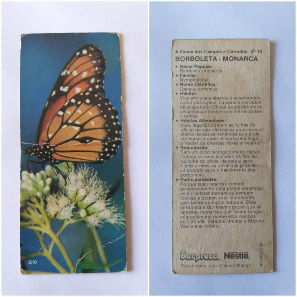 Figurinha Nestlê Surpresa (A Fauna dos Campos e Cerrados) Nº 10 - Borboleta-Monarca - 1989
