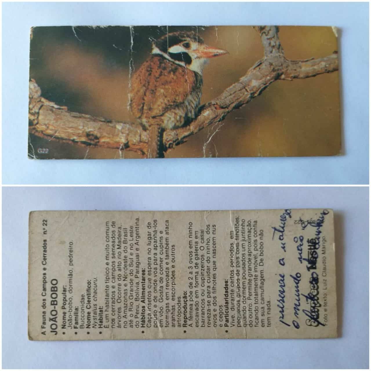 Figurinha Nestlê Surpresa (A Fauna dos Campos e Cerrados) Nº 22 - João-Bobo - 1989
