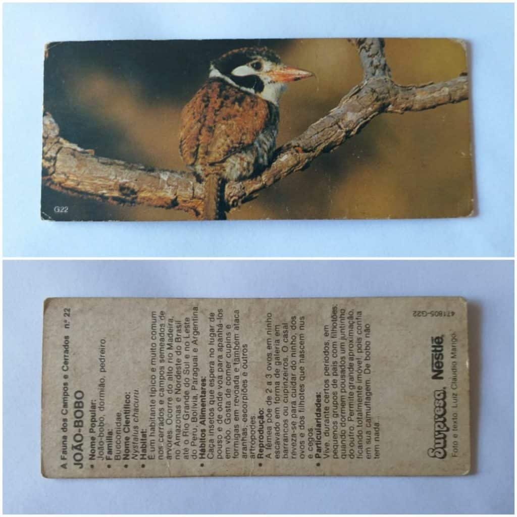 Figurinha Nestlê Surpresa (A Fauna dos Campos e Cerrados) Nº 22 - João-Bobo - 1989