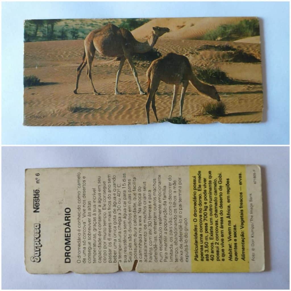 Figurinha Nestlê Surpresa (Animais de todo o Mundo) Nº 06 - Dromedário - 1983