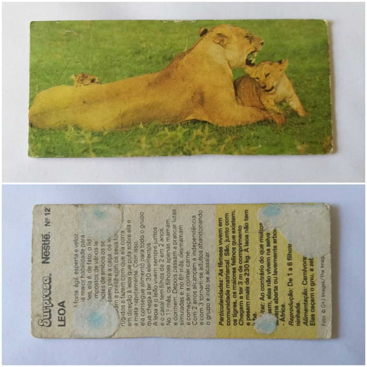Figurinha Nestlê Surpresa (Animais de todo o Mundo) Nº 12 - Leoa - 1983