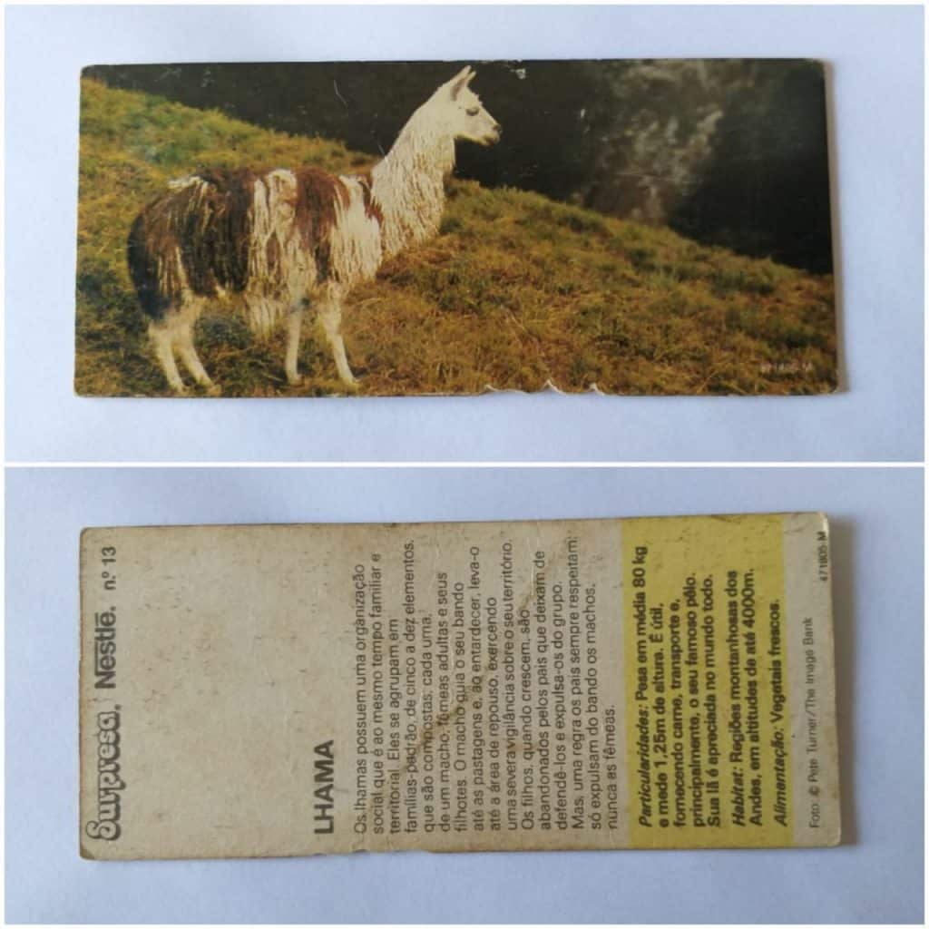 Figurinha Nestlê Surpresa (Animais de todo o Mundo) Nº 13 - Lhama - 1983