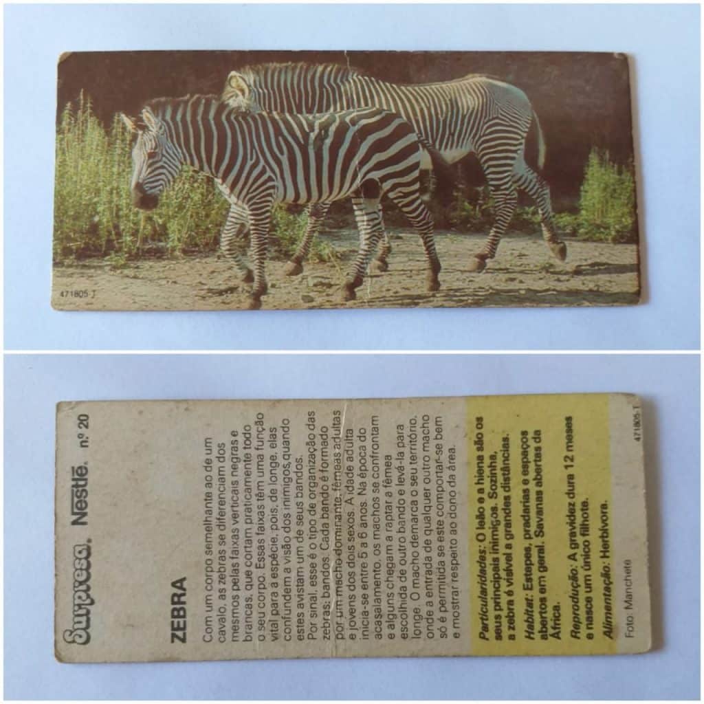 Figurinha Nestlê Surpresa (Animais de todo o Mundo) Nº 20 - Zebra - 1983