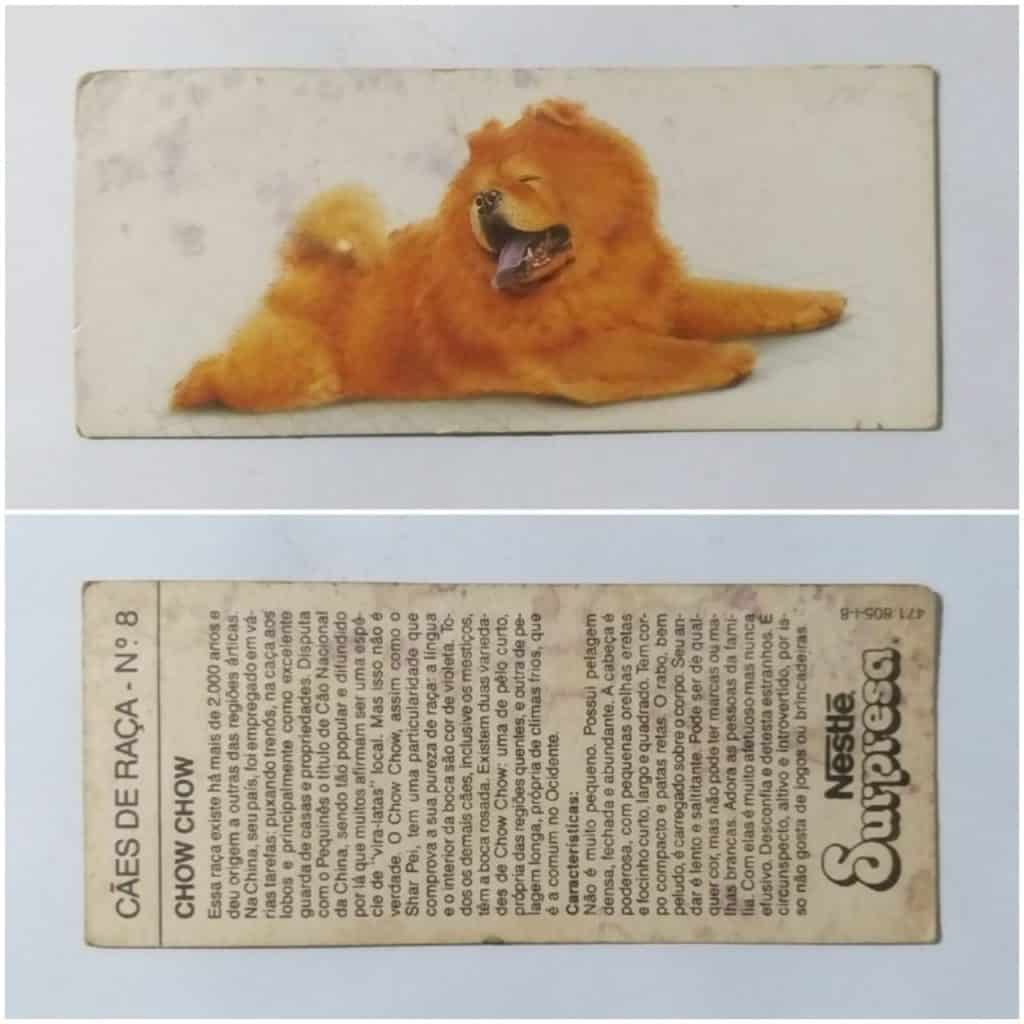 Figurinha Nestlê Surpresa (Cães de Raça) Nº 08 - Chow Chow - 1992