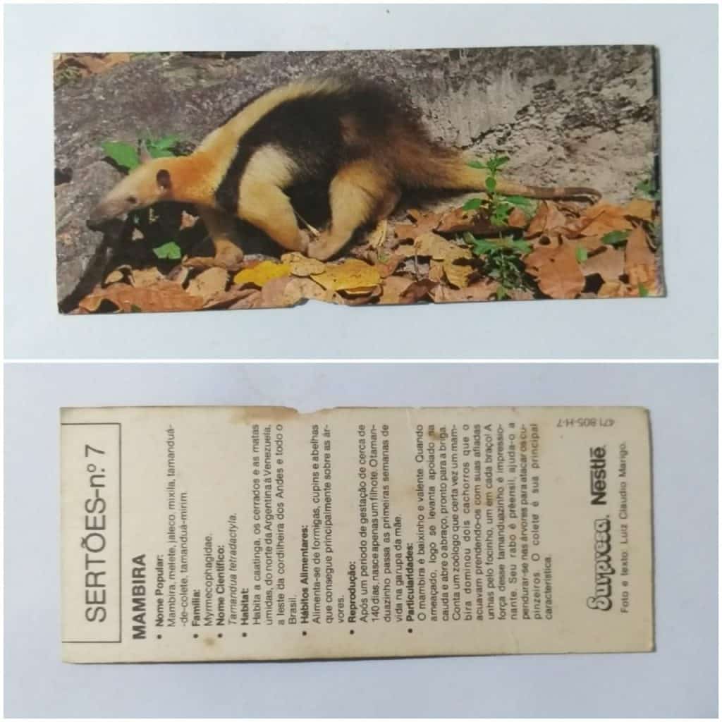 Figurinha Nestlê Surpresa (Sertões) Nº 07 - Mambira - 1991
