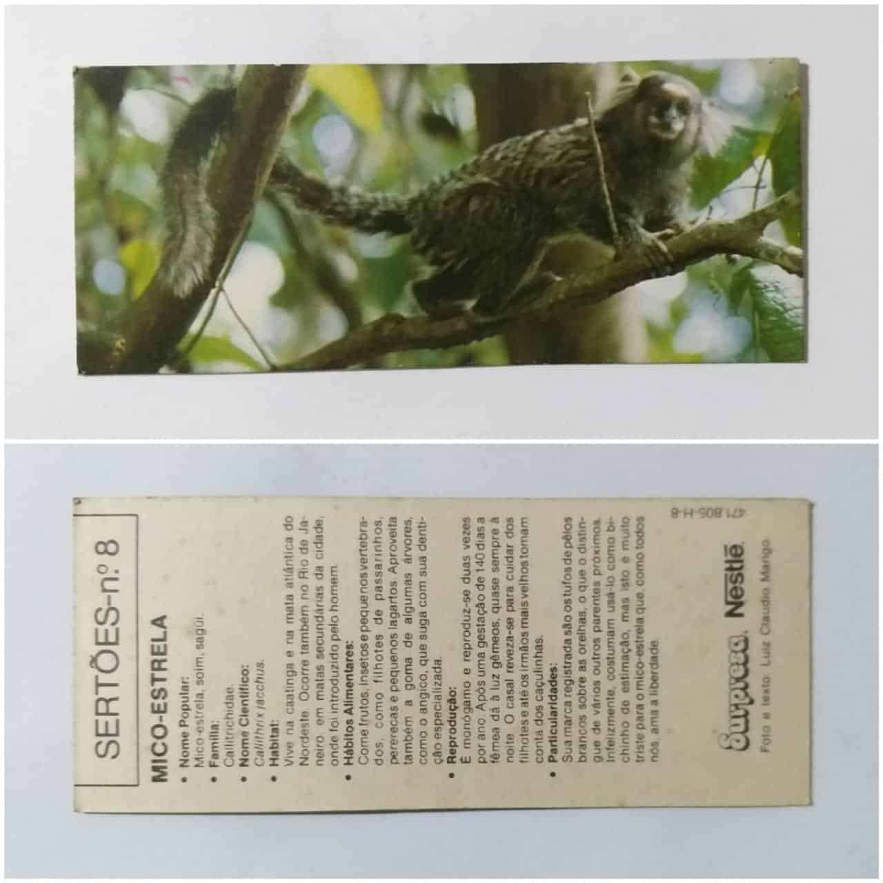Figurinha Nestlê Surpresa (Sertões) Nº 08 - Mico-Estrela - 1991