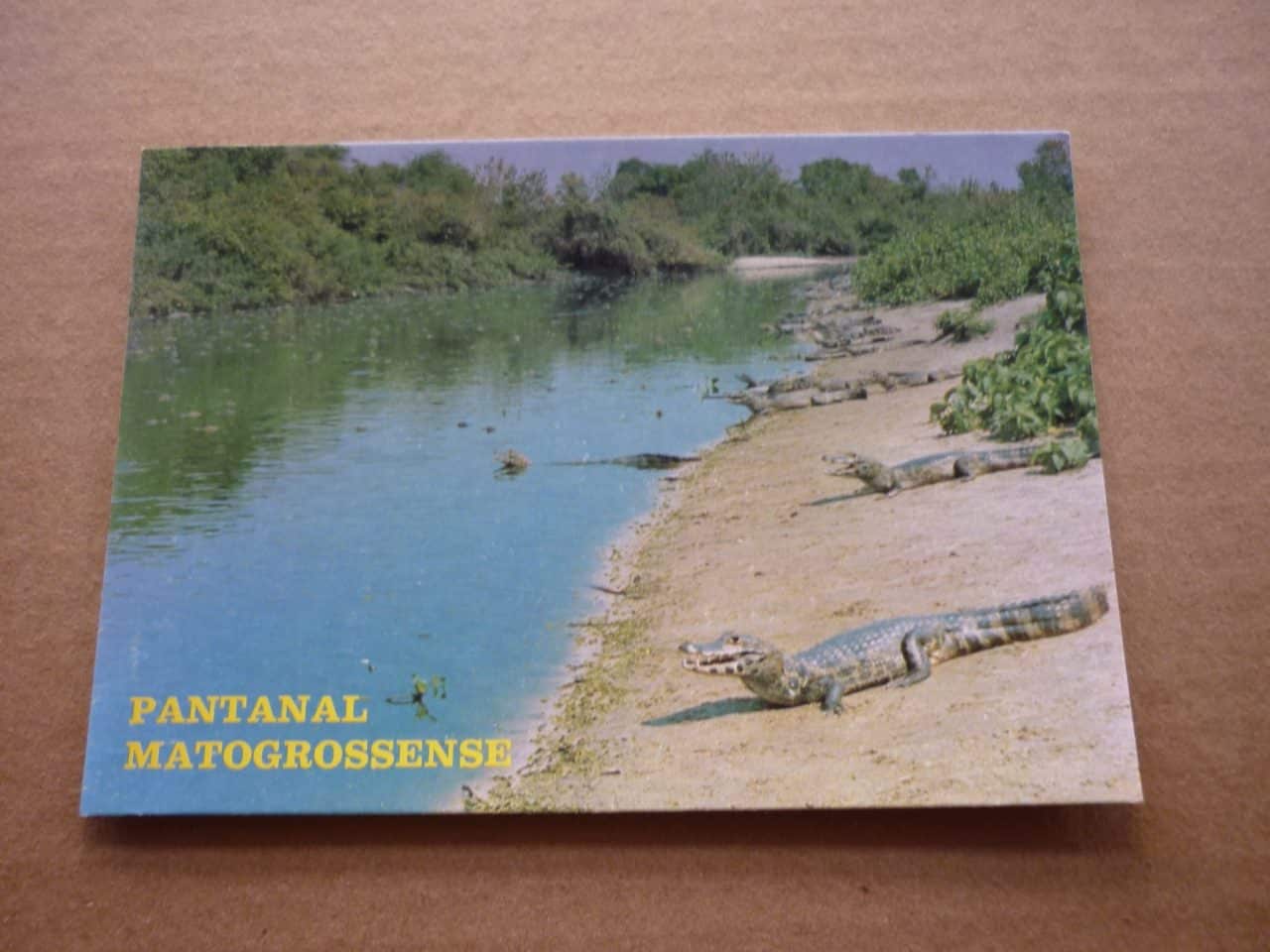 | Casa do Colecionador CARTÃO POSTAL PANTANAL MATOGROSSENSE JACARÉ .