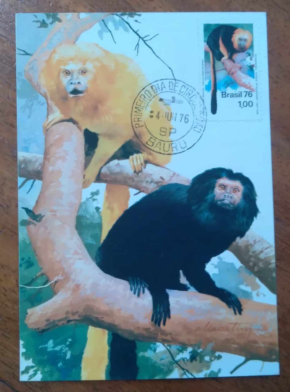 | Casa do Colecionador Filatelia Maximo Postal Ect Sp 1976 Preservacao Da Fauna Mico Leao 2