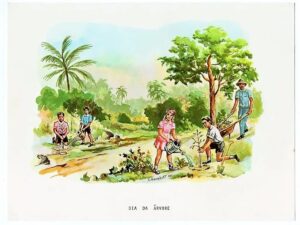 Antiga Gravura Cromocart Dia Da Arvore - Anos 60