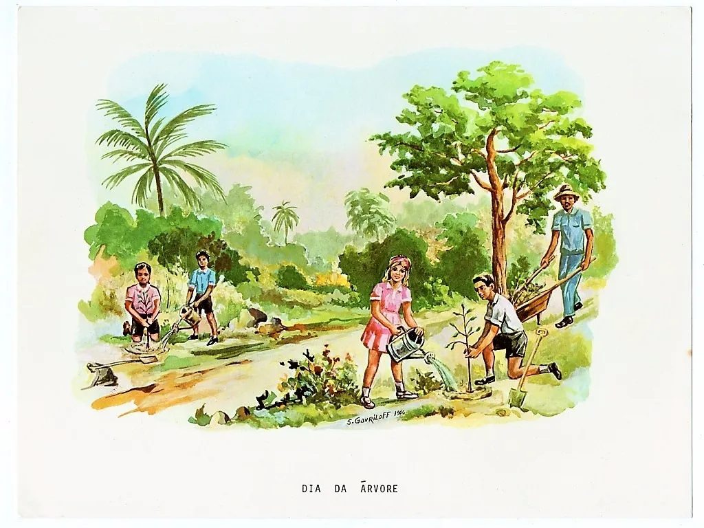 | Casa do Colecionador Antiga Gravura Cromocart Dia Da Arvore - Anos 60
